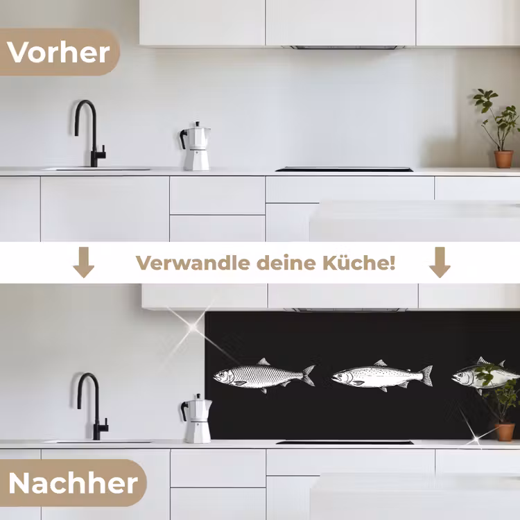 Vissen - Zwart - Wit keuken achterwand 2 middel -voor-na_DE