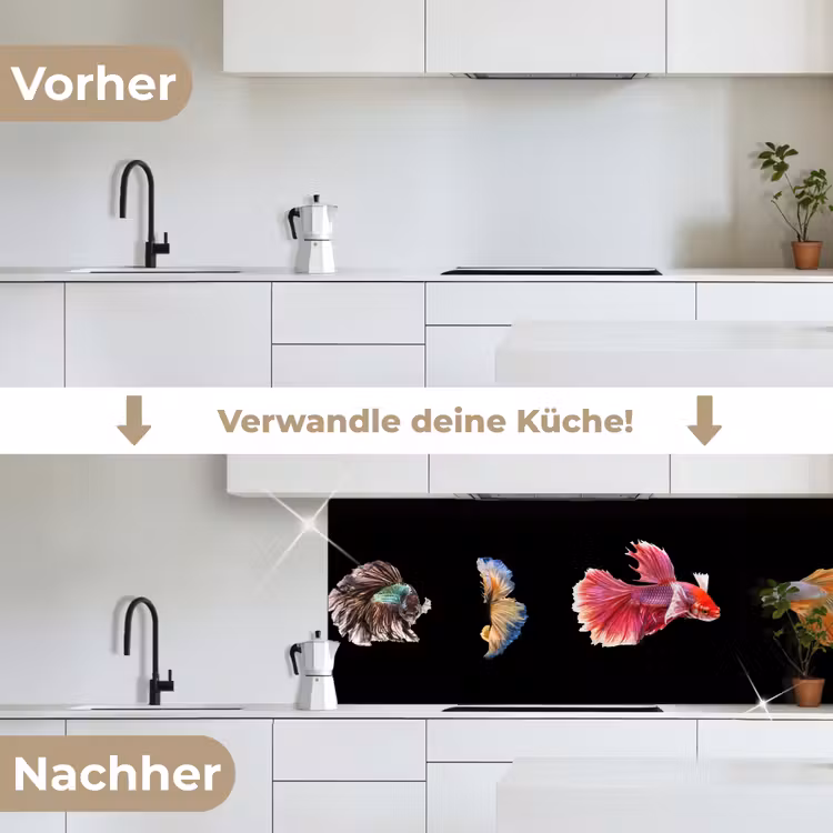 Vissen - Kleurrijk - Dieren keuken achterwand 2 middel -voor-na_DE