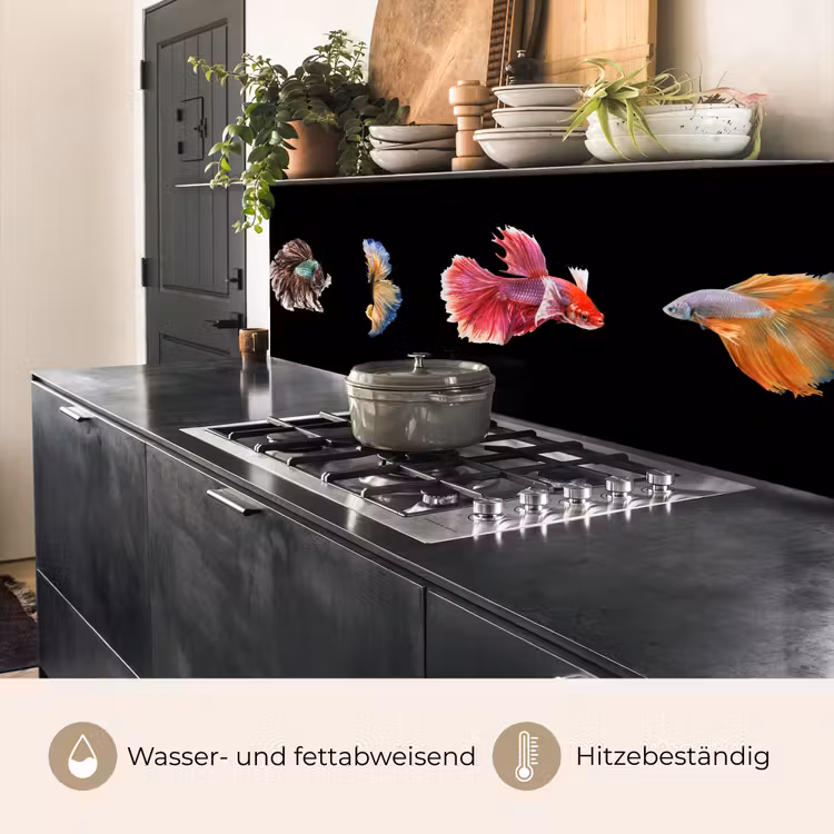 Vissen - Kleurrijk - Dieren keuken achterwand 2 middel -usp_DE