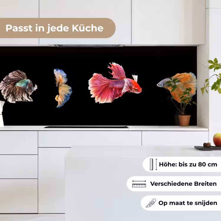 Vissen - Kleurrijk - Dieren keuken achterwand 2 middel -sfeer4_DE