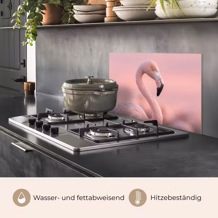 Flamingo - Portret - Roze keuken achterwand spatscherm klein -usp_DE