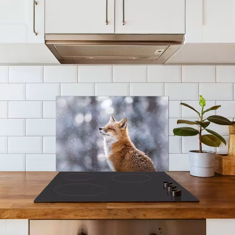 Vos - Sneeuwval - Portret - Winter - Sfeervol keuken achterwand spatscherm klein -sfeer2