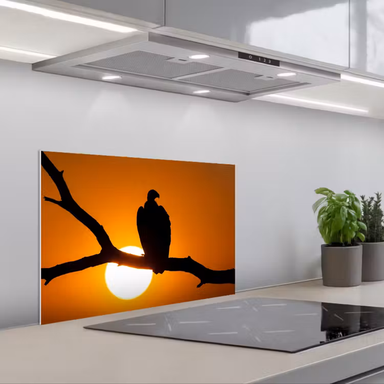 Gier - Tak - Zon - Oranje keuken achterwand spatscherm klein -3d_schuin
