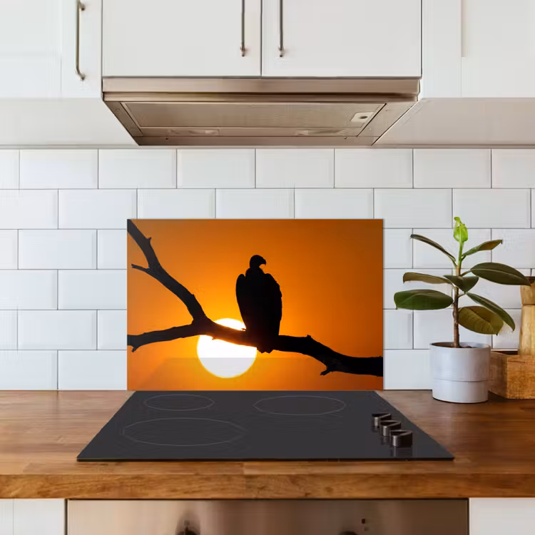 Gier - Tak - Zon - Oranje keuken achterwand spatscherm klein -sfeer2