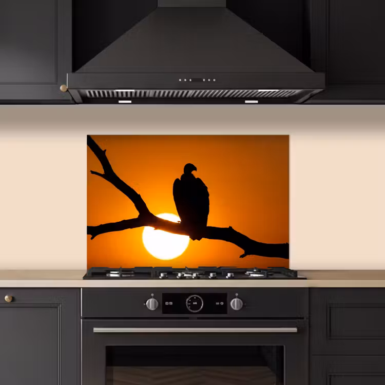 Gier - Tak - Zon - Oranje keuken achterwand spatscherm klein -sfeer1
