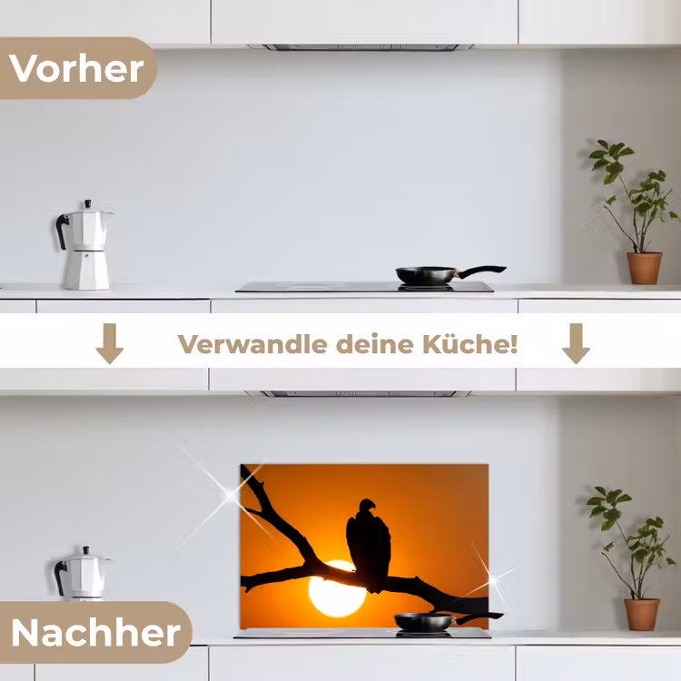 Gier - Tak - Zon - Oranje keuken achterwand spatscherm klein -voor_na_DE
