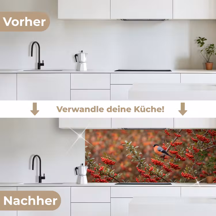 Goudvink - Bessen - Herfst - Natuur - Kleurrijk keuken achterwand 2 middel -voor-na_DE