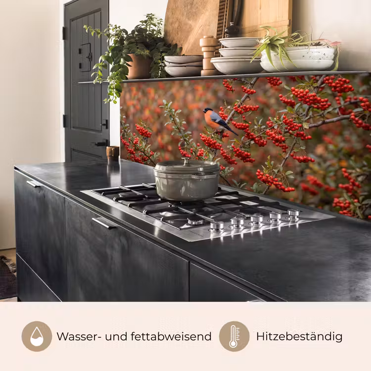 Goudvink - Bessen - Herfst - Natuur - Kleurrijk keuken achterwand 2 middel -usp_DE