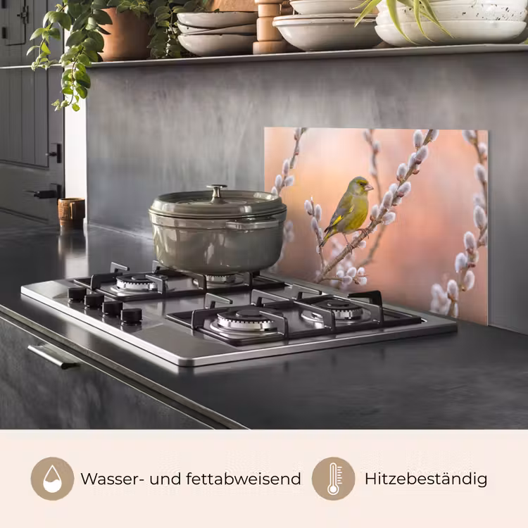Groenling - Katjes - Lente - Natuur - Zacht keuken achterwand spatscherm klein -usp_DE