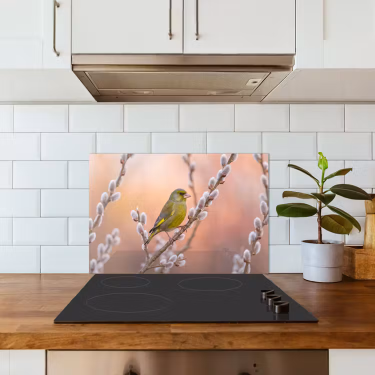 Groenling - Katjes - Lente - Natuur - Zacht keuken achterwand spatscherm klein -sfeer2