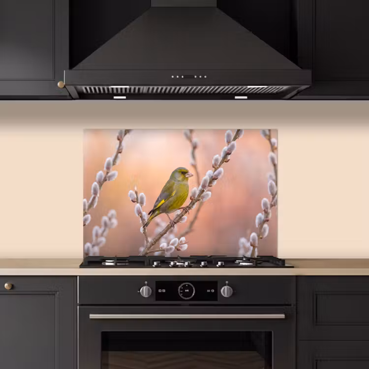 Groenling - Katjes - Lente - Natuur - Zacht keuken achterwand spatscherm klein -sfeer1