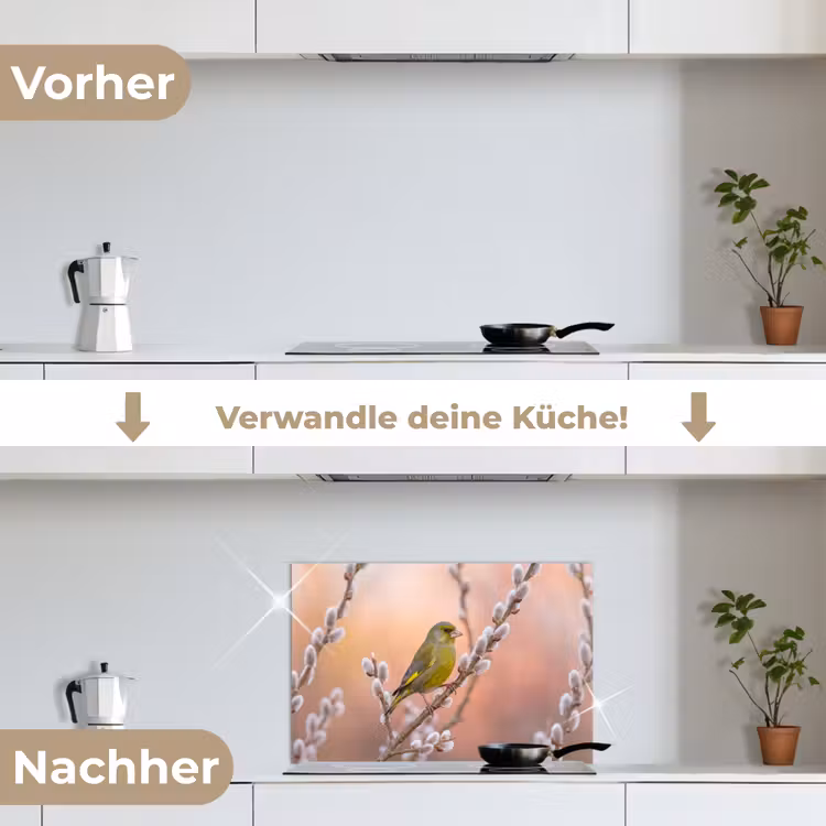 Groenling - Katjes - Lente - Natuur - Zacht keuken achterwand spatscherm klein -voor_na_DE