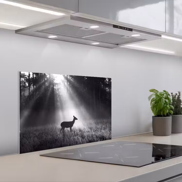 Hert - Bos - Zonnestralen - Zwart-wit - Natuur keuken achterwand spatscherm klein -3d_schuin