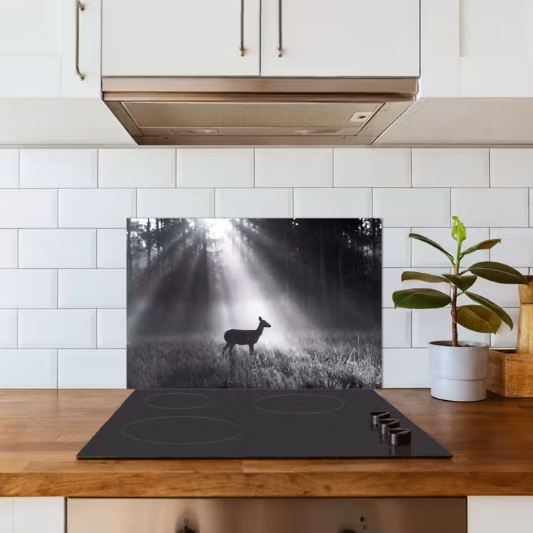 Hert - Bos - Zonnestralen - Zwart-wit - Natuur keuken achterwand spatscherm klein -sfeer2
