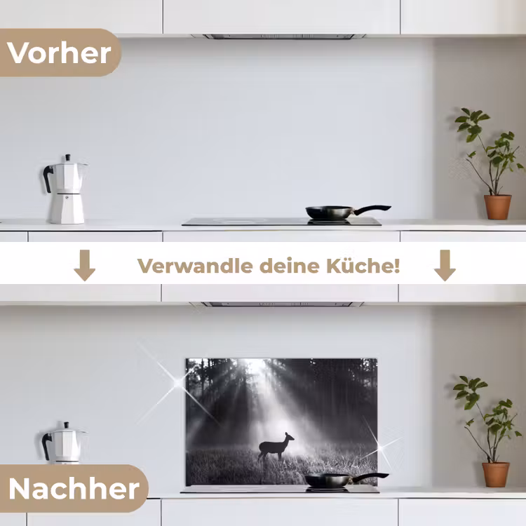Hert - Bos - Zonnestralen - Zwart-wit - Natuur keuken achterwand spatscherm klein -voor_na_DE