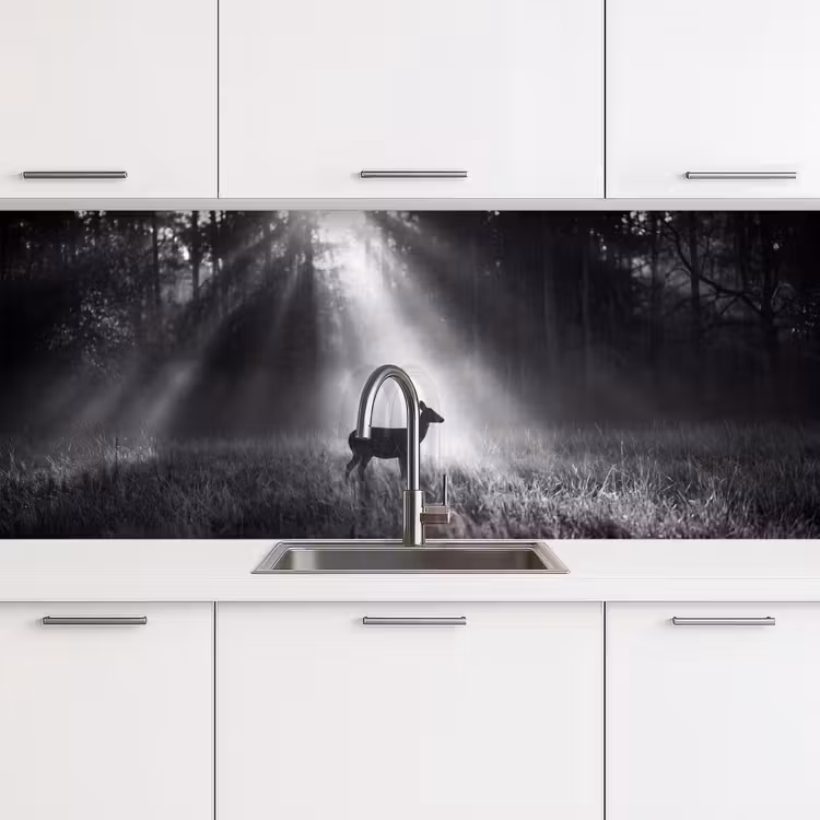 Hert - Bos - Zonnestralen - Zwart-wit - Natuur keuken achterwand 2 middel -3d