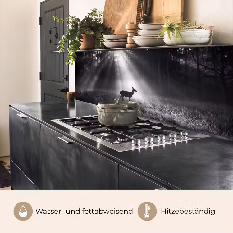 Hert - Bos - Zonnestralen - Zwart-wit - Natuur keuken achterwand 2 middel -usp_DE