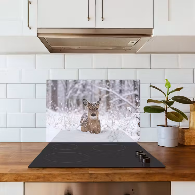 Hert - Sneeuw - Bos - Dieren - Vertederend keuken achterwand spatscherm klein -sfeer2
