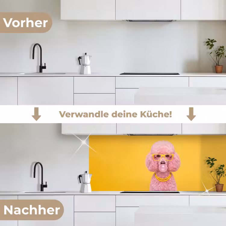 Hond - Kauwgum - Dieren - Modern - Roze keuken achterwand 2 middel -voor-na_DE