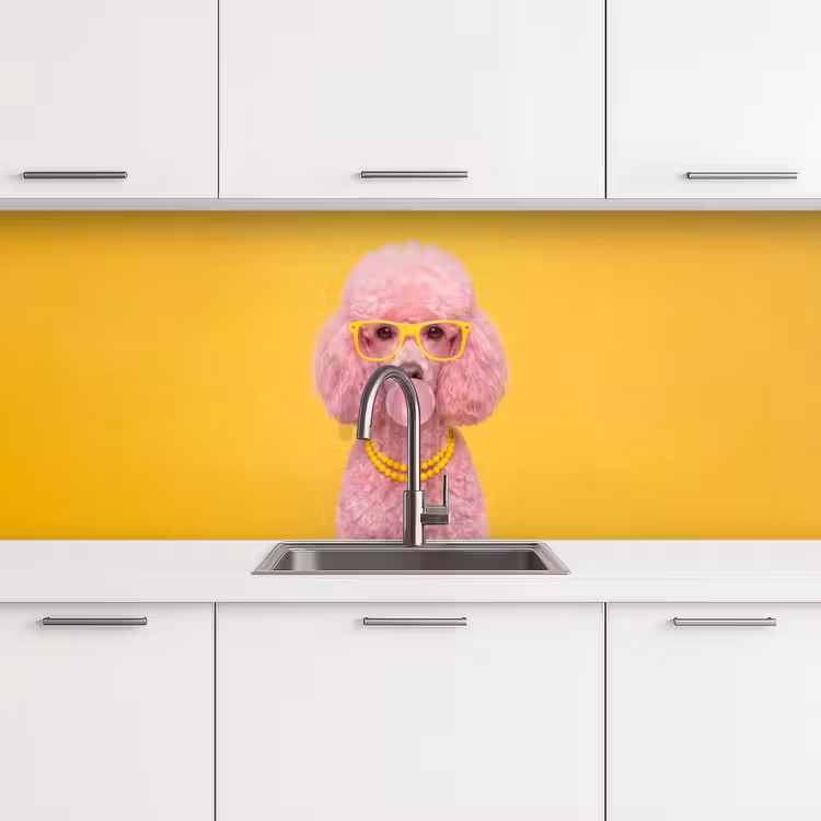 Hond - Kauwgum - Dieren - Modern - Roze keuken achterwand 2 middel -3d