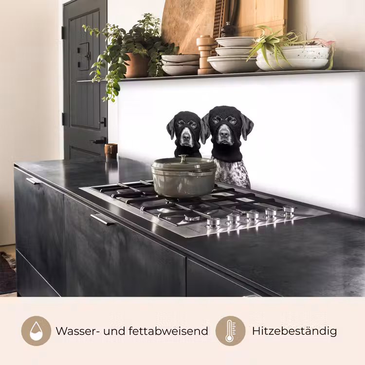 Honden - Bivakmuts - Zwart - wit keuken achterwand 2 middel -usp_DE