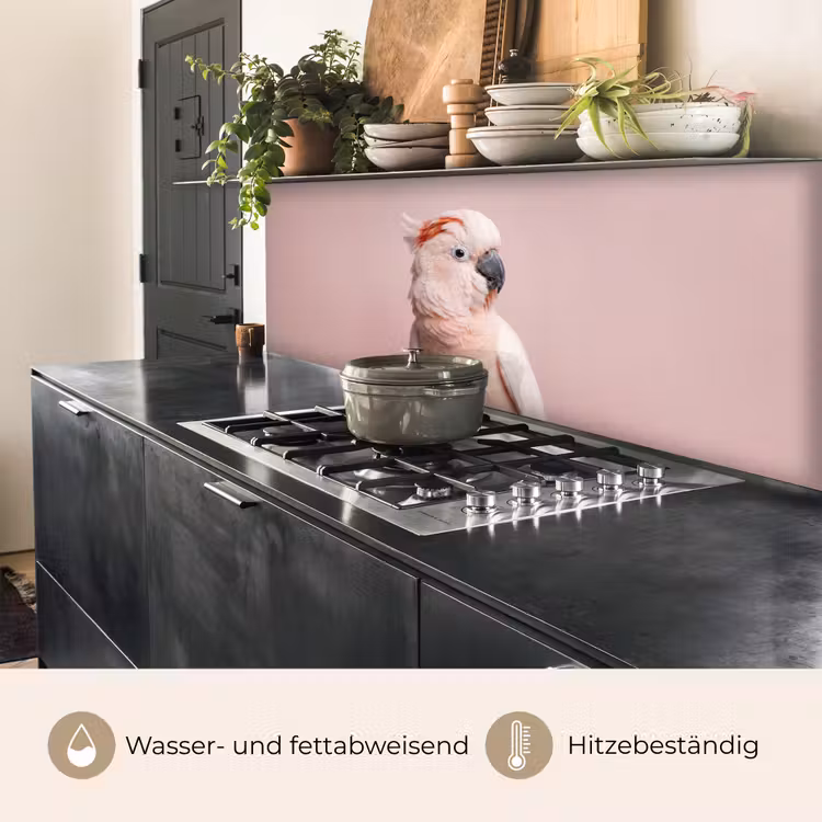 Kaketoe - Portret - Roze keuken achterwand 2 middel -usp_DE