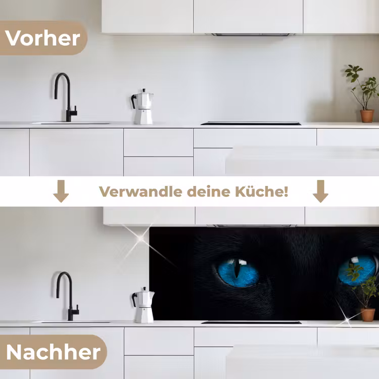 Kat - Blauw - Dier - Zwart keuken achterwand 2 middel -voor-na_DE