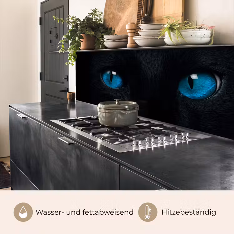 Kat - Blauw - Dier - Zwart keuken achterwand 2 middel -usp_DE