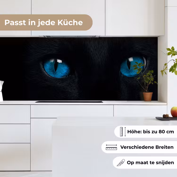 Kat - Blauw - Dier - Zwart keuken achterwand 2 middel -sfeer4_DE