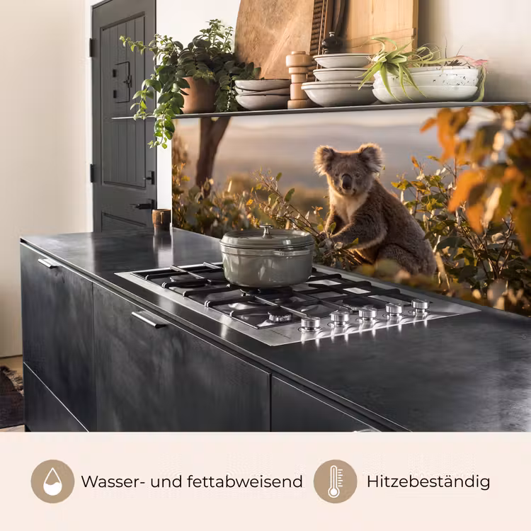 Koala - Bladeren - Ochtendlicht keuken achterwand 2 middel -usp_DE