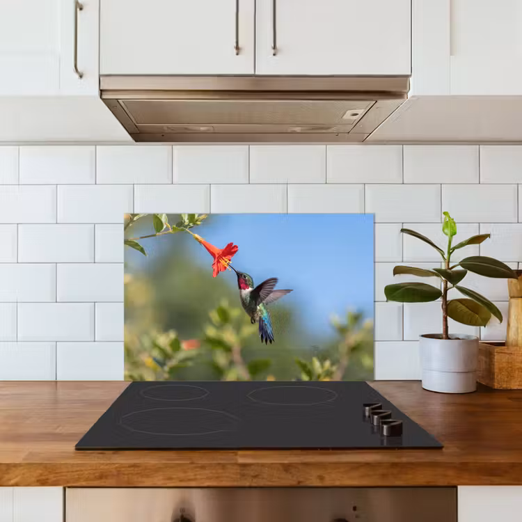 Kolibrie - Bloem - Natuur - Groen keuken achterwand spatscherm klein -sfeer2
