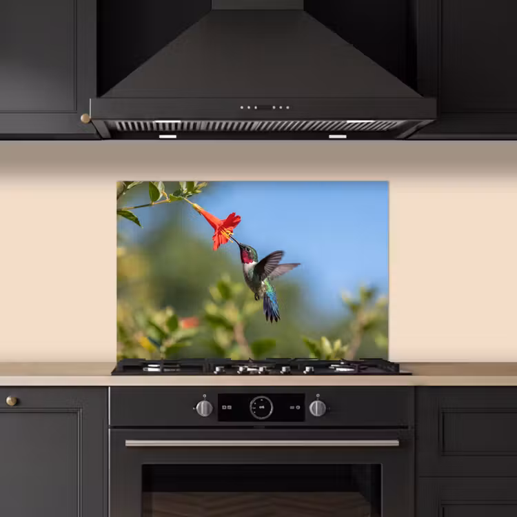 Kolibrie - Bloem - Natuur - Groen keuken achterwand spatscherm klein -sfeer1