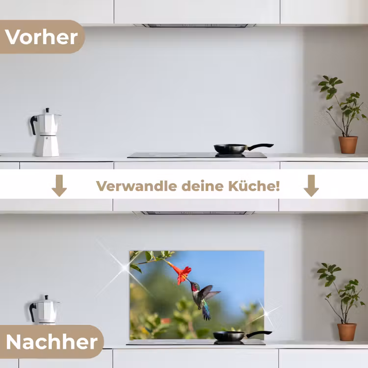 Kolibrie - Bloem - Natuur - Groen keuken achterwand spatscherm klein -voor_na_DE