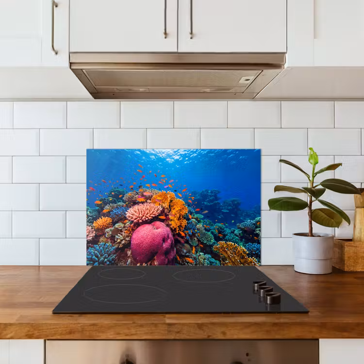 Koraal - Vissen - Oceaan - Natuur - Kleurrijk keuken achterwand spatscherm klein -sfeer2