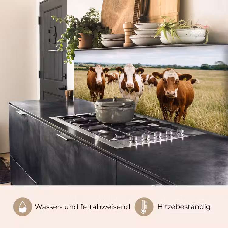 Koeien - Portret - Weide - Boerderij - Nieuwsgierig keuken achterwand 2 middel -usp_DE