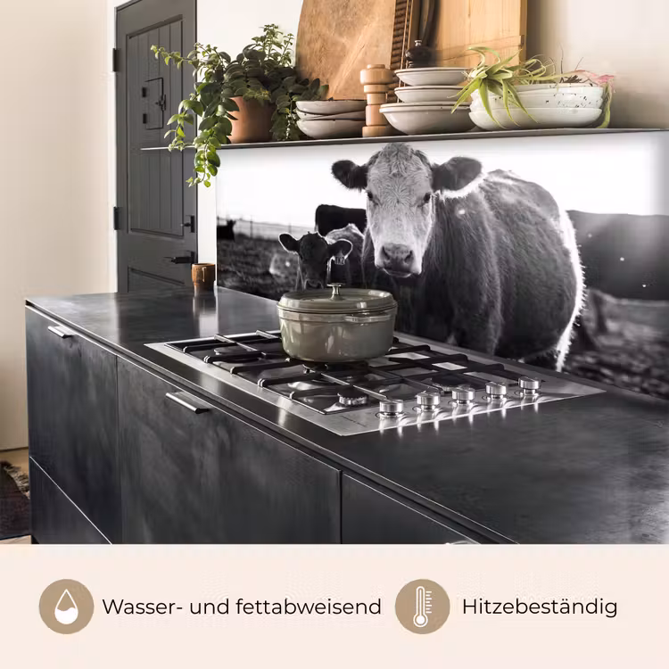 Koeien - Zwart - Wit keuken achterwand 2 middel -usp_DE