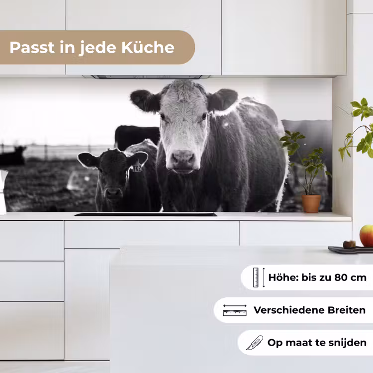 Koeien - Zwart - Wit keuken achterwand 2 middel -sfeer4_DE
