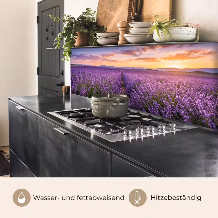 Lavendel - Veld - Natuur - Paars keuken achterwand 2 middel -usp_DE
