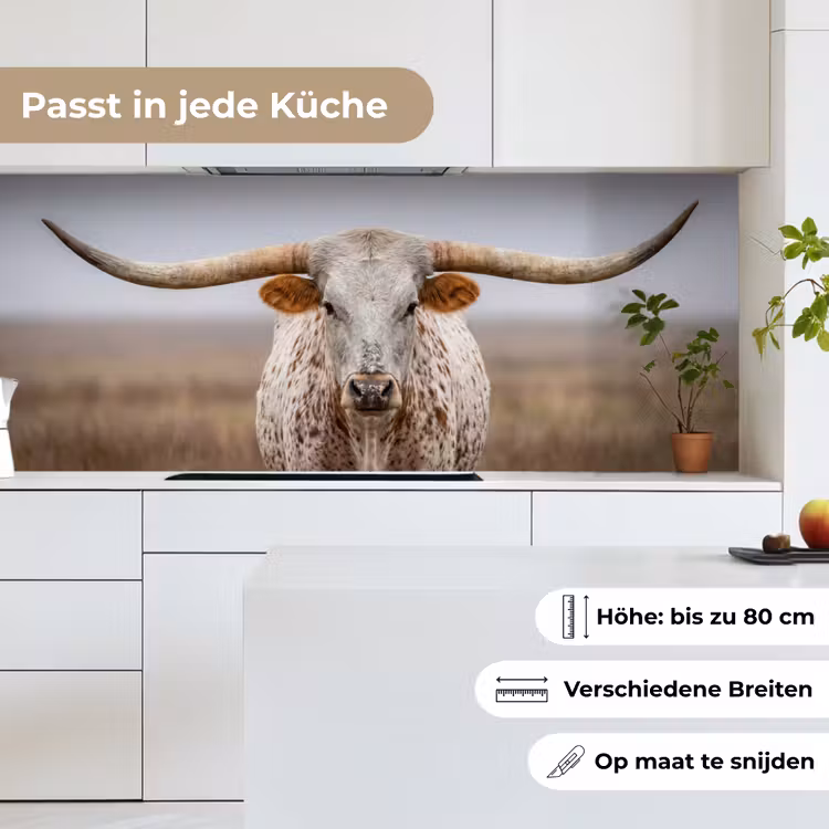 Longhorn - Grasveld - Dier keuken achterwand 2 middel -sfeer4_DE