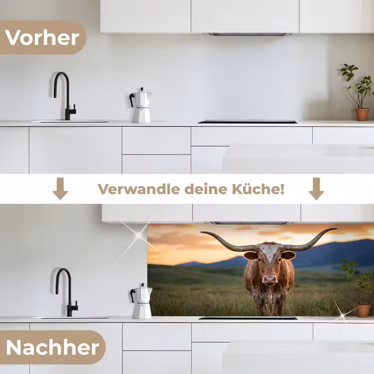Longhorn - Landschap - Zonsondergang keuken achterwand 2 middel -voor-na_DE