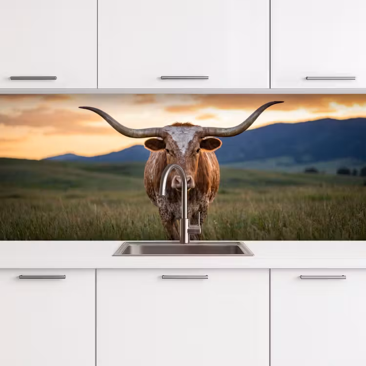 Longhorn - Landschap - Zonsondergang keuken achterwand 2 middel -3d
