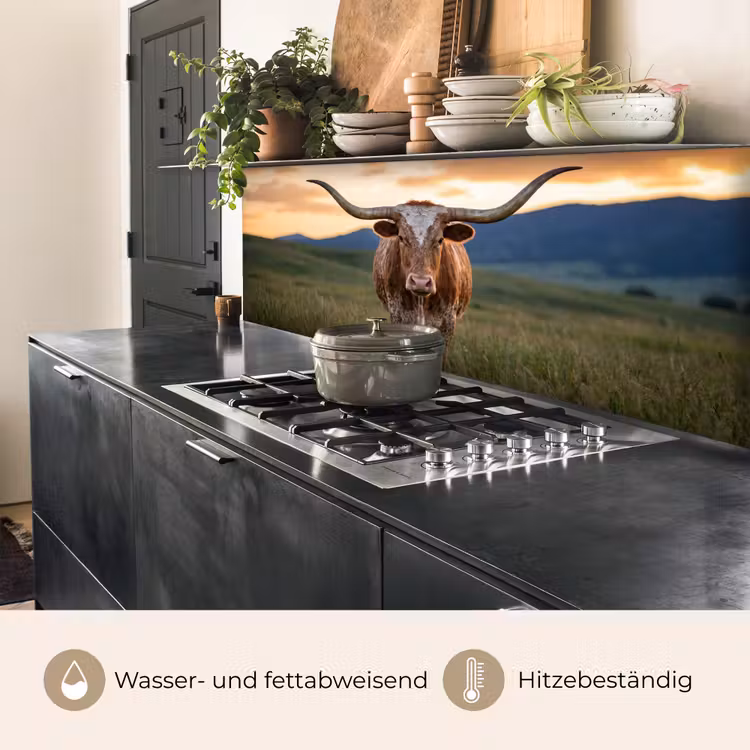 Longhorn - Landschap - Zonsondergang keuken achterwand 2 middel -usp_DE