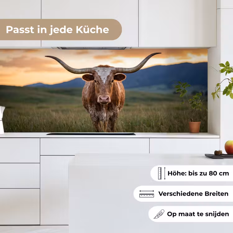 Longhorn - Landschap - Zonsondergang keuken achterwand 2 middel -sfeer4_DE