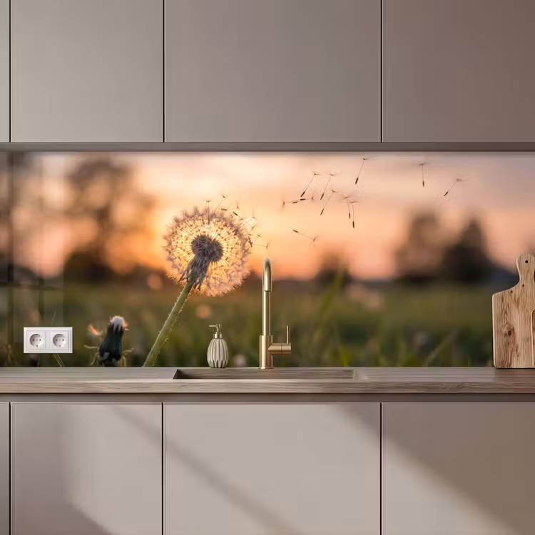 Paardenbloem - Zonsondergang - Veld keuken achterwand 2 middel zz_3dshopping