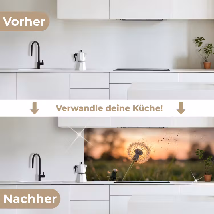 Paardenbloem - Zonsondergang - Veld keuken achterwand 2 middel -voor-na_DE