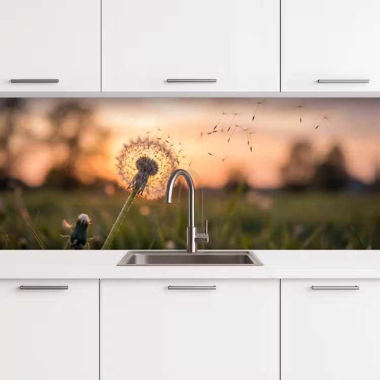 Paardenbloem - Zonsondergang - Veld keuken achterwand 2 middel -3d