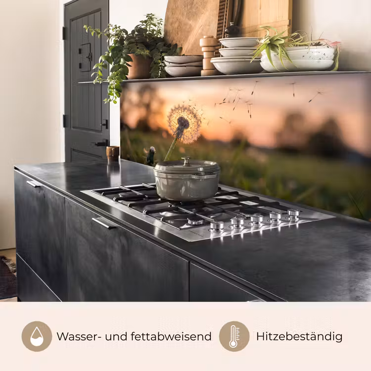 Paardenbloem - Zonsondergang - Veld keuken achterwand 2 middel -usp_DE
