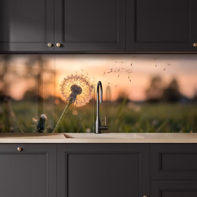 Paardenbloem - Zonsondergang - Veld keuken achterwand 2 middel -sfeer1