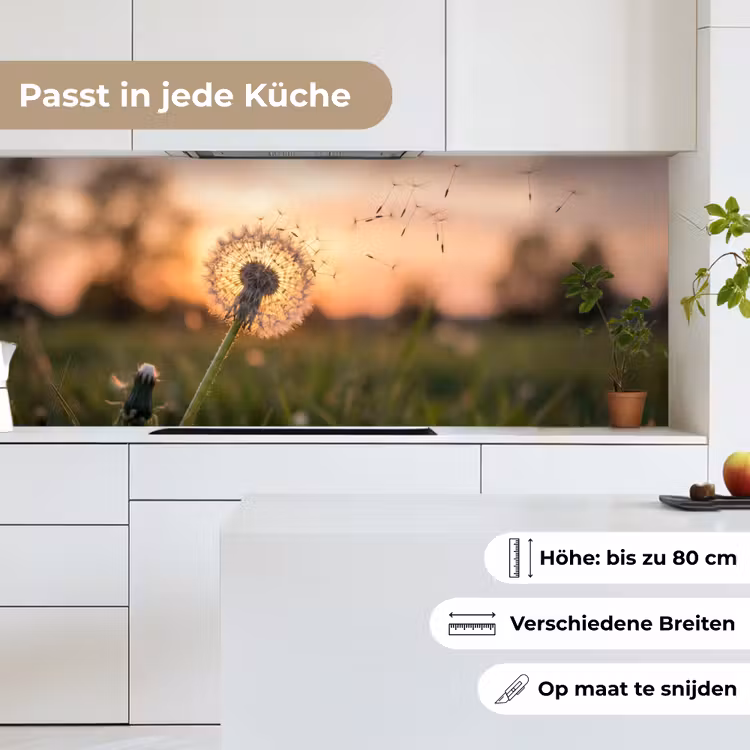 Paardenbloem - Zonsondergang - Veld keuken achterwand 2 middel -sfeer4_DE