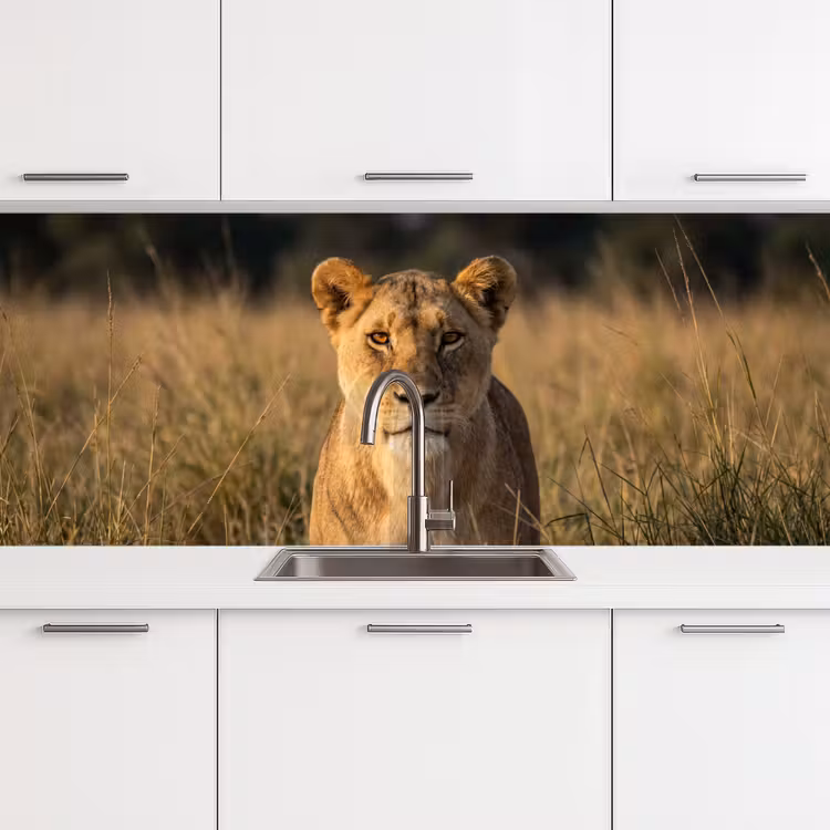 Leeuwin - Gras - Geel keuken achterwand 2 middel -3d